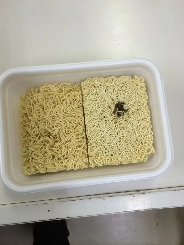 ペヤングゴキブリ