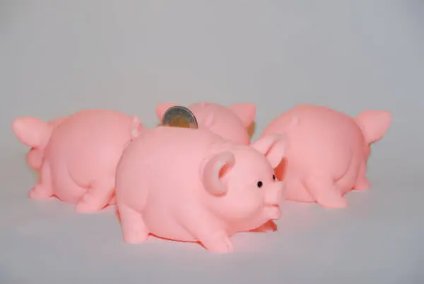  pigbank