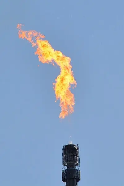  oil