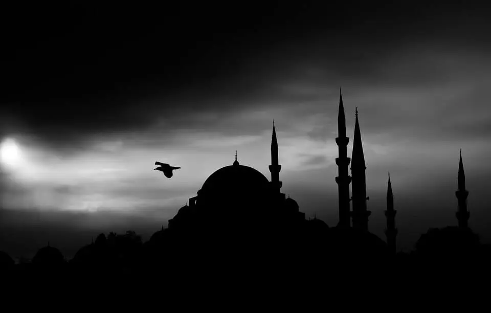  turky