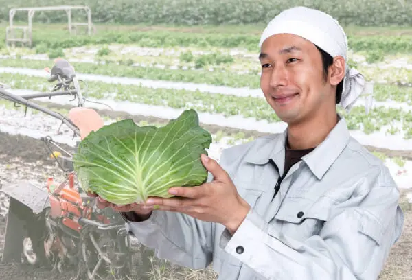 farm