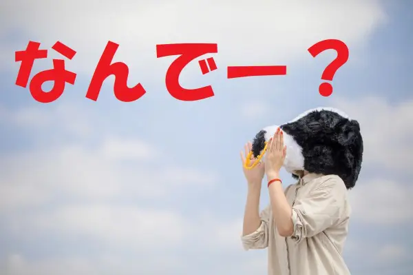  金利